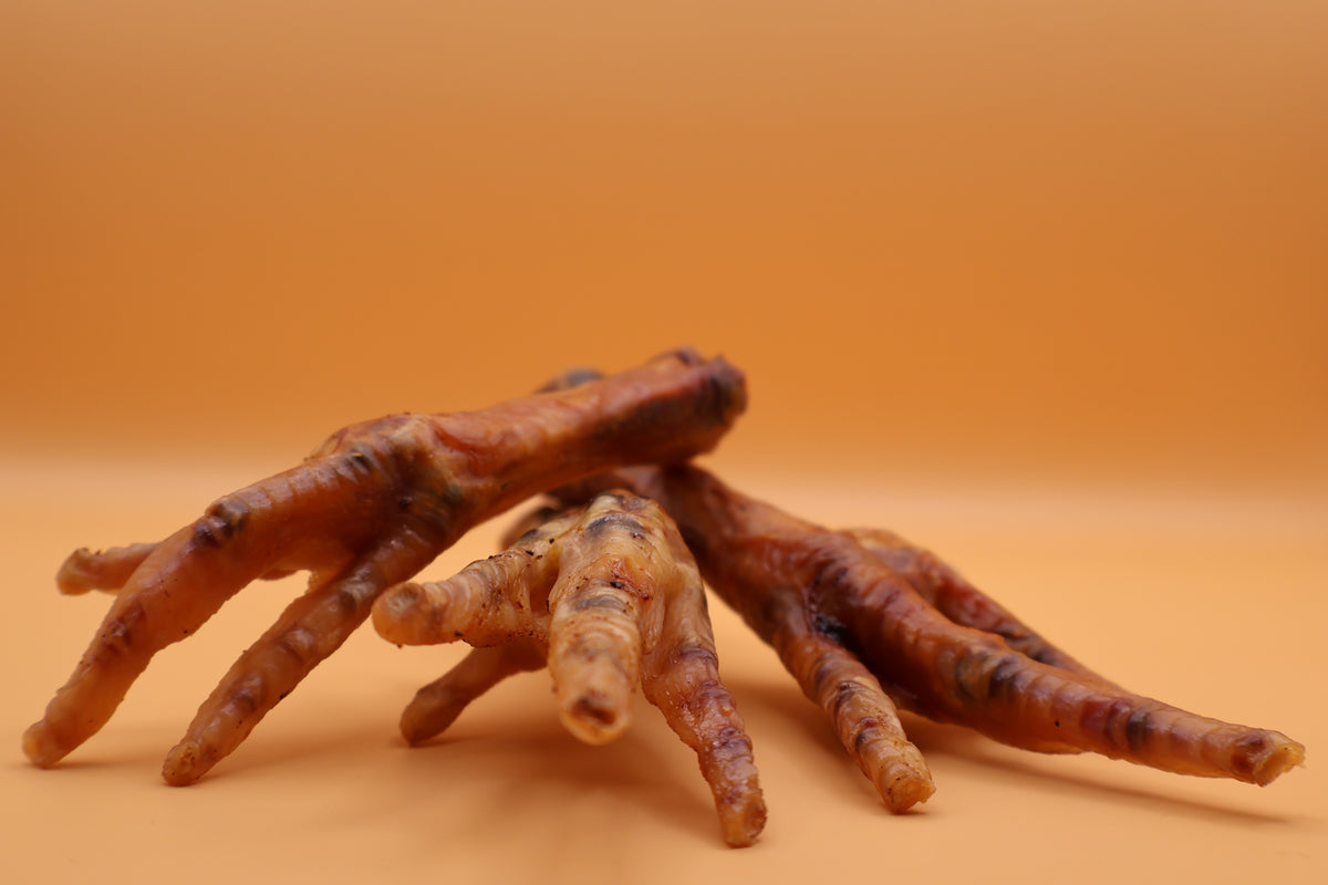 Hühnerfüsse Natur luftgetrocknet von ROBOK – Hundesnack aus Huhn – Detailansicht