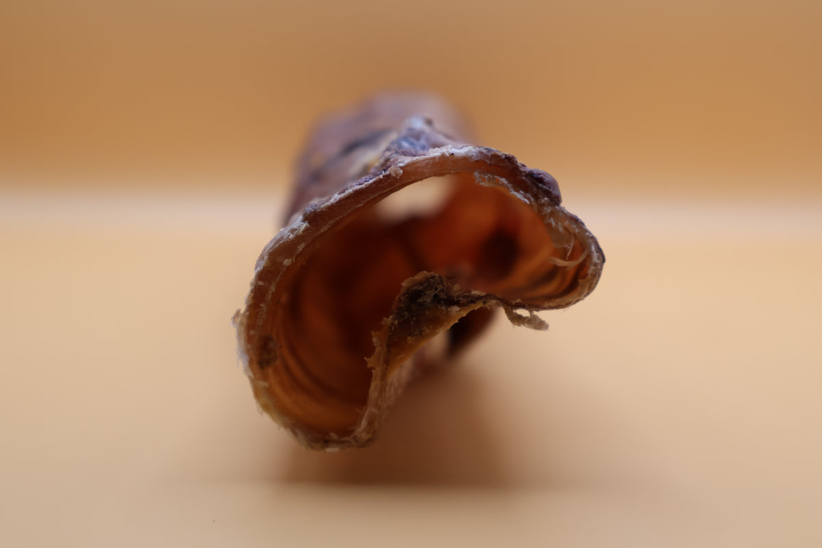 Rinderstrossen luftgetrocknet von ROBOK – Hundesnack aus Rind – Detailansicht