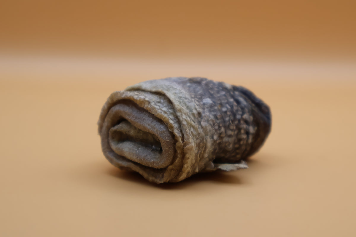 Dorschhaut-Kaurolle luftgetrocknet von ROBOK – Kauartikel aus Dorsch