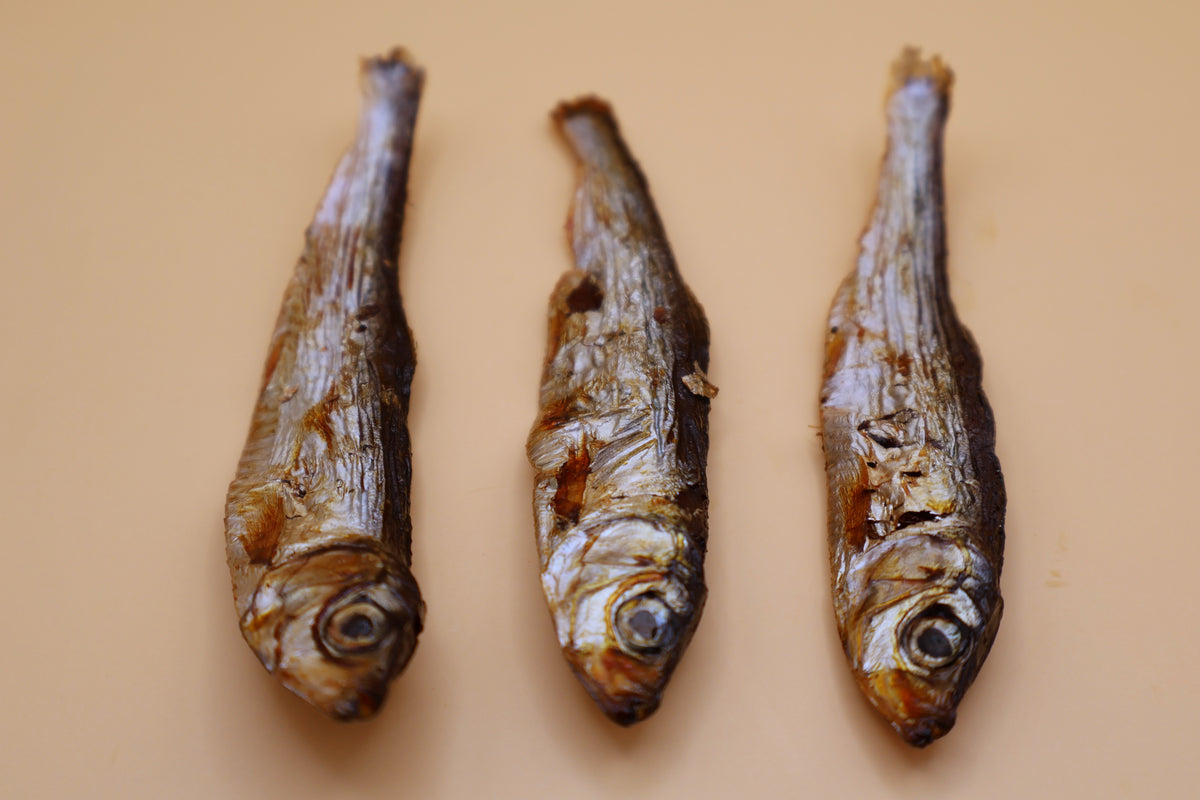 Sprotten luftgetrocknet von ROBOK – Hundesnack aus Sprotten