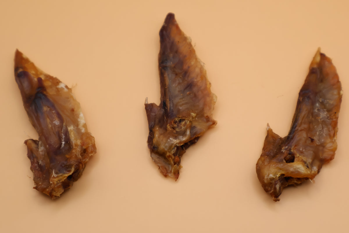 Hühnerflügel luftgetrocknet von ROBOK – Hundesnack aus Huhn – Detailansicht