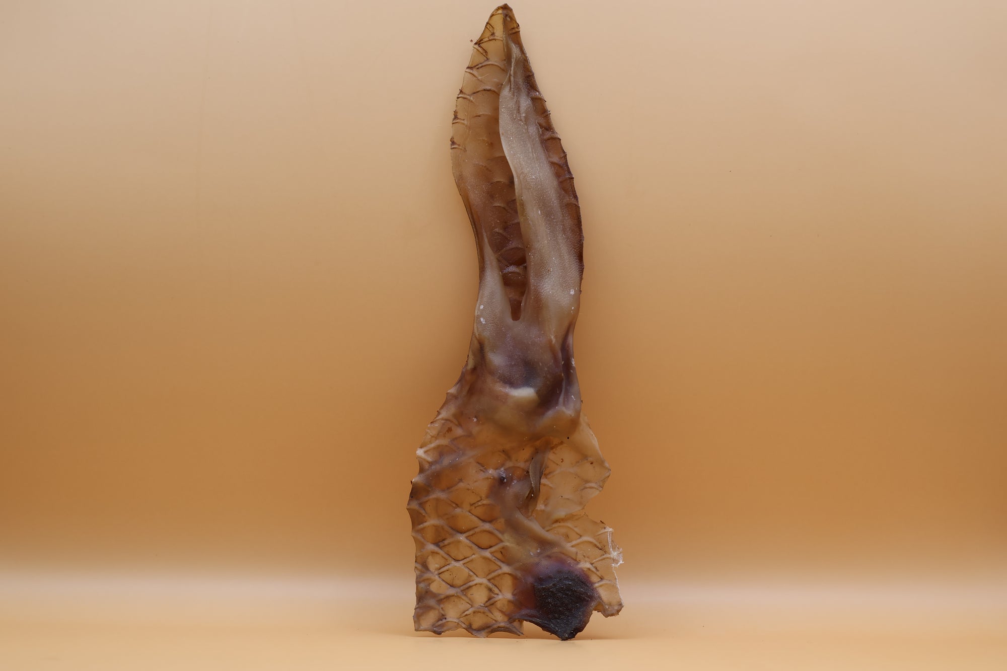 Kaninchenohren ohne Fell 200 g / 500 g